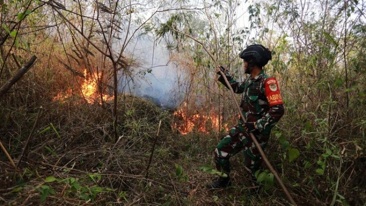 Taman Nasional Gunung Ciremai Kebakaran, Aktivitas Perburuan Diduga Jadi Pemicunya