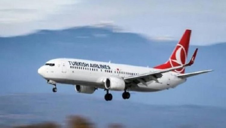 Penumpang yang Ngamuk di Pesawat Turkish Airlines Terancam Dipenjara!
