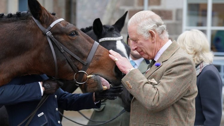 Raja Charles III Jual 14 Kuda Pacuan Warisan Ratu Elizabeth II