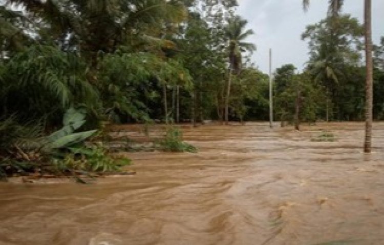 Banjir Landa Lampung Selatan, 1 Orang Belum Ditemukan dan 3 Orang Tewas