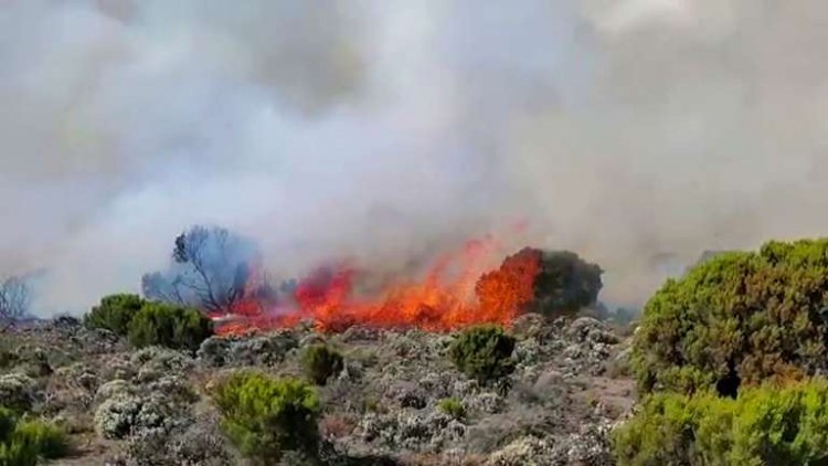 Gunung Kilimanjaro Terbakar Hampir 2 Minggu, Ratusan Hektar Tanaman Hangus Terbakar