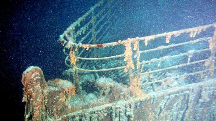 Wow! Ditemukan Spesies Karang Berusia Ribuan Tahun di Sekitar Bangkai Kapal Titanic