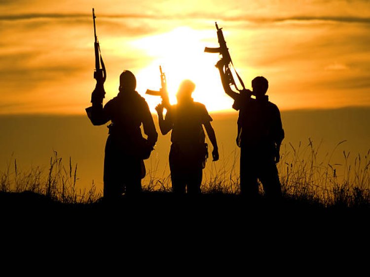 Teroris dan Kelompok Ekstrimis Merajalela di Afrika
