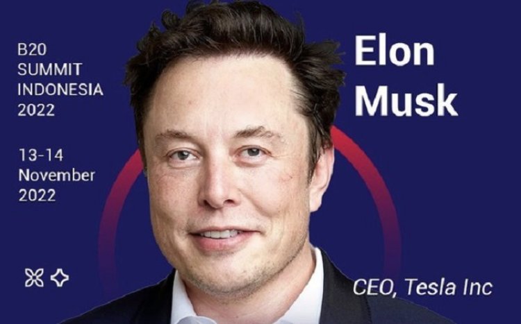 Kata Luhut soal Elon Musk Batal Datang ke Bali