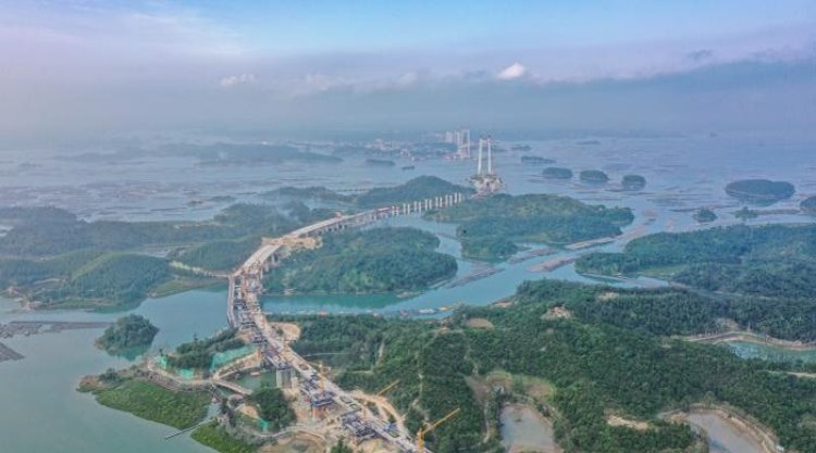 Jembatan Penyeberangan Laut Terpanjang Guangxi dan "Hutan Laut" Hidup Berdampingan