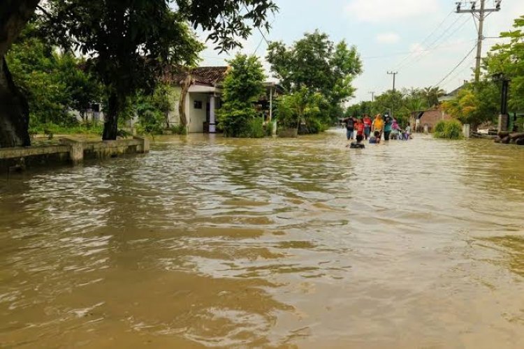 Sejumlah Kawasan di Jombang Tergenang Air Akibat Hujan Deras 5 Jam
