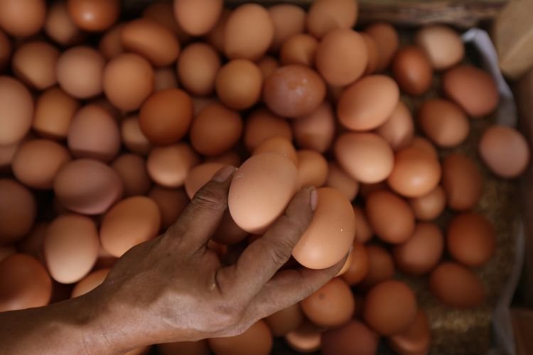 Waduh! Harga Telur Ayam Merangkak Naik, Tembus hingga Rp31.100 per Kg
