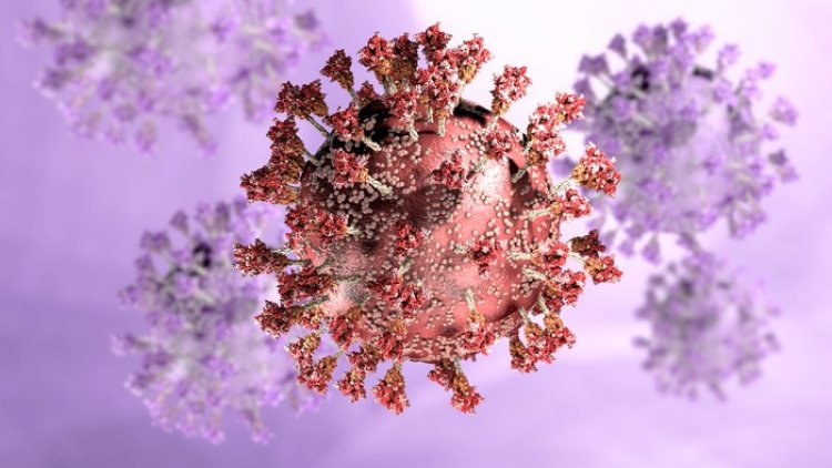 8 Virus Tertua yang Pernah Menyerang Makhluk Hidup