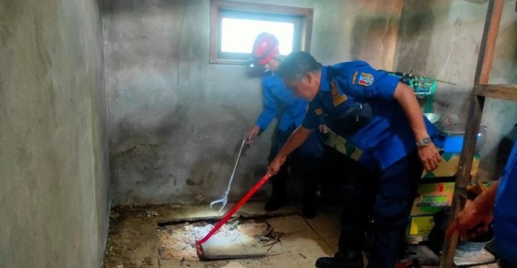 Ngeri! Petugas Damkar Temukan Puluhan Anak Kobra-Telurnya di Bawah Lantai Rumah Warga Tuban