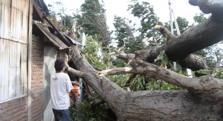 Puting Beliung Rusak Puluhan Rumah di Gowa Sulawesi Selatan