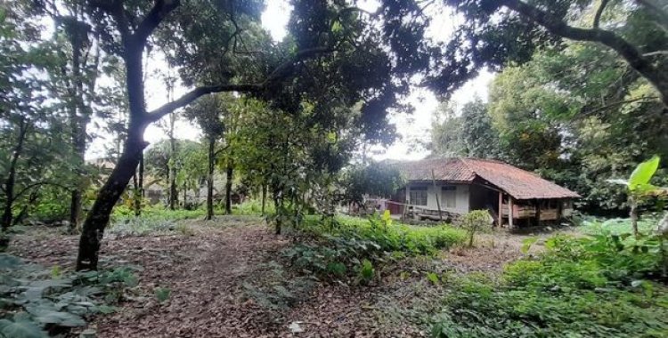 Ngeri! Ini Cerita Dusun Puncak Manik yang Ditinggal Seluruh Warganya Gegara Gerombolan