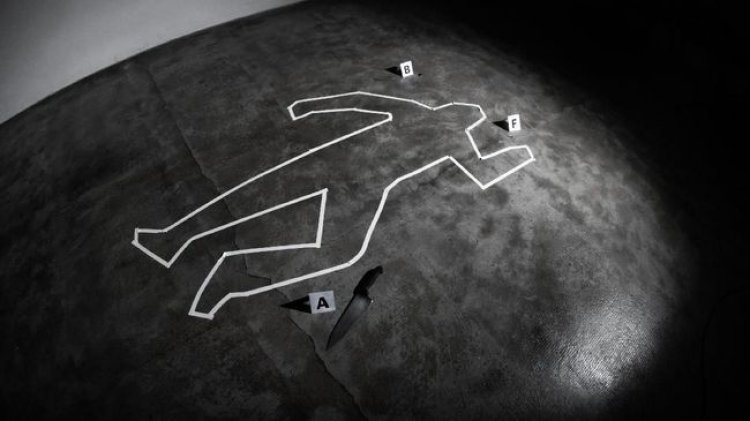 Pelaku Pembunuhan ART Berhasil Dibekuk Polisi