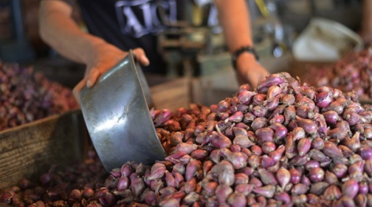 Harga Bawang di Filipina Melonjak Lebih Mahal dari Daging Sapi dan Ayam