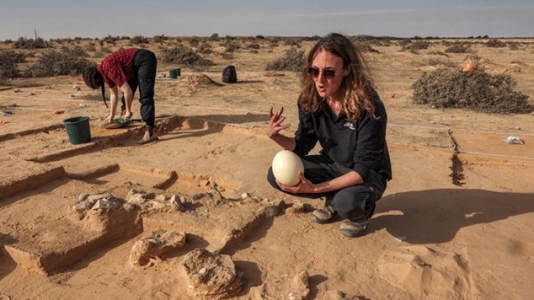 Telur Burung Unta Berusia 7.500 Tahun Ditemukan di Israel