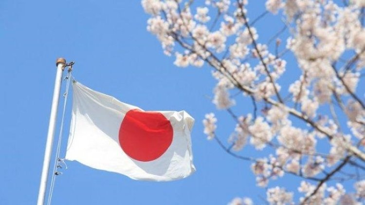 Angka Kelahiran Kian Menurun, PM Jepang Khawatir Negaranya Tumbang