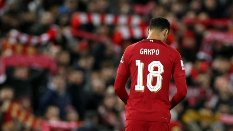 Cody Gakpo Terpengaruh dengan Performa Liverpool Kini
