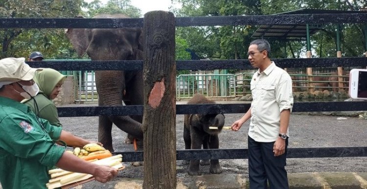 Pj Gubernur DKI Sambangi TM Ragunan, Beri Nama Pada Anak  Gajah dan Jerapah yang Baru Lahir
