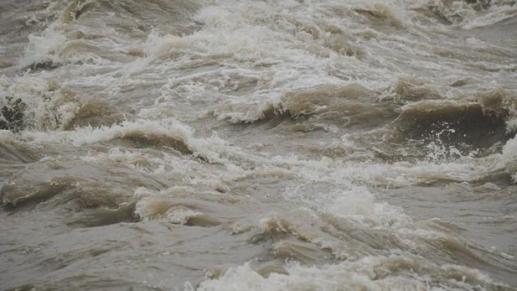Sawah Seluas 250 Hektar di Sumbawa Terendam Banjir