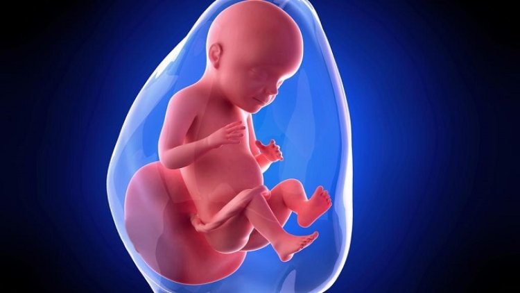 Ilmuwan Bakal Ciptakan Bayi di Luar Angkasa, Gimana Caranya?