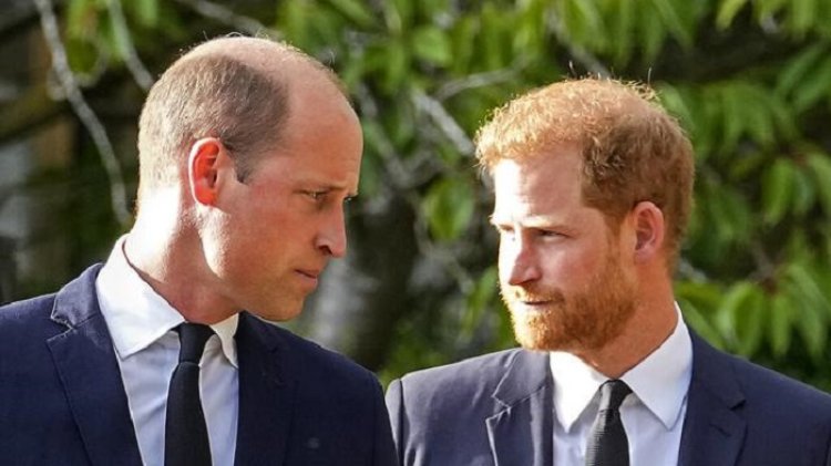 Pangeran William Disebut Tak Punya Niat Damai dengan Pangeran Harry