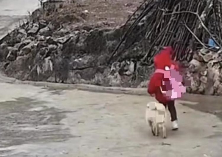 Miris! Gadis 7 Tahun Berjalan ke Sekolah dengan Jarak 6 Kilometer Tiap Hari