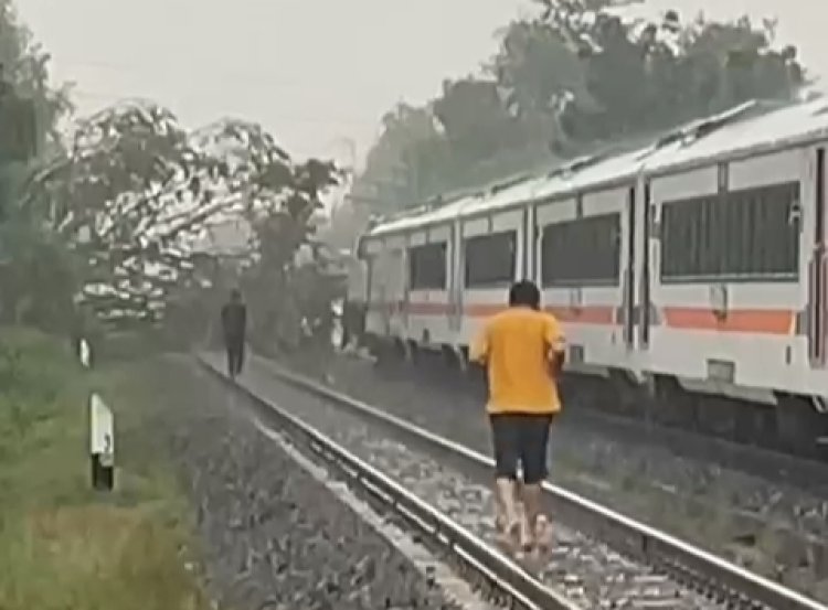 Agin Puting Beliung di Madiun Sebabkan Pohon Tumbang, Perjalanan Kereta Api Tertunda