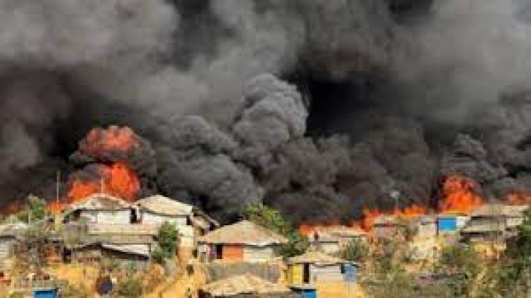 Waduh! Kandang Ternak di Bojonegoro Terbakar, 25 Ribu Ayam Mati