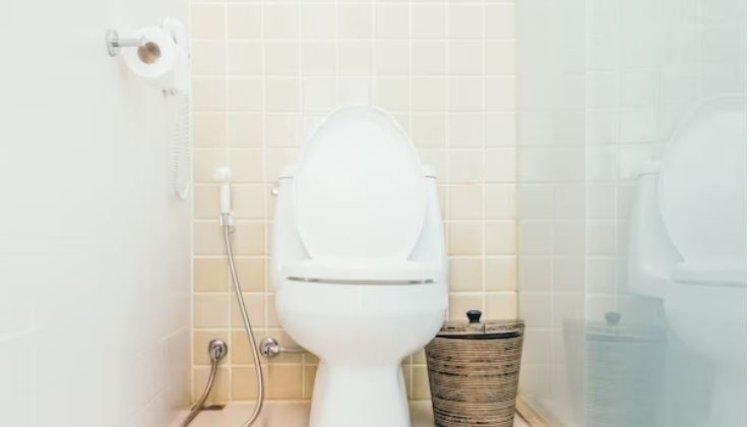 Apakah Infeksi Saluran Kemih Bisa Disalurkan Dari Dudukan Toilet?