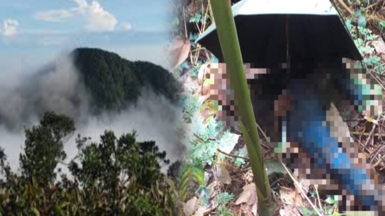 5 Fakta Dibalik Penemuan Mayat Wanita yang Tinggal Tengkorak di Hutan Gunung Salak
