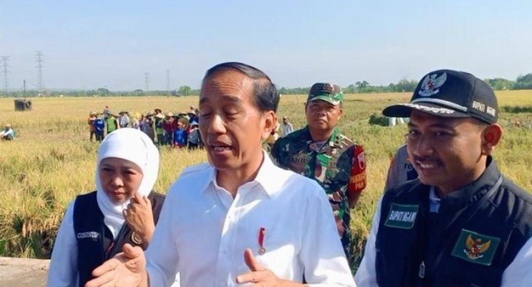 Jokowi Berpesan Agar Petani Bisa Turut Andil Dalam Membantu Menstabilkan Harga Gabah dan Beras