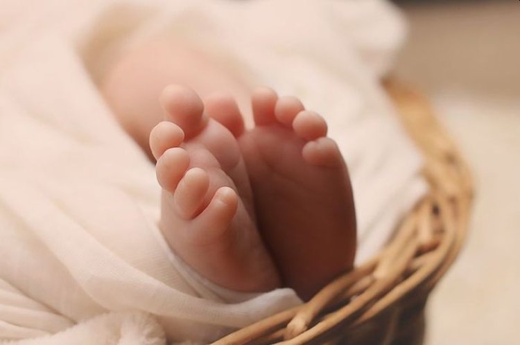 Miris! Mayat Bayi di Dukuh Pojok Diduga Tewas Karena Luka Bekap, Polisi Buru Orang Tua Bayi