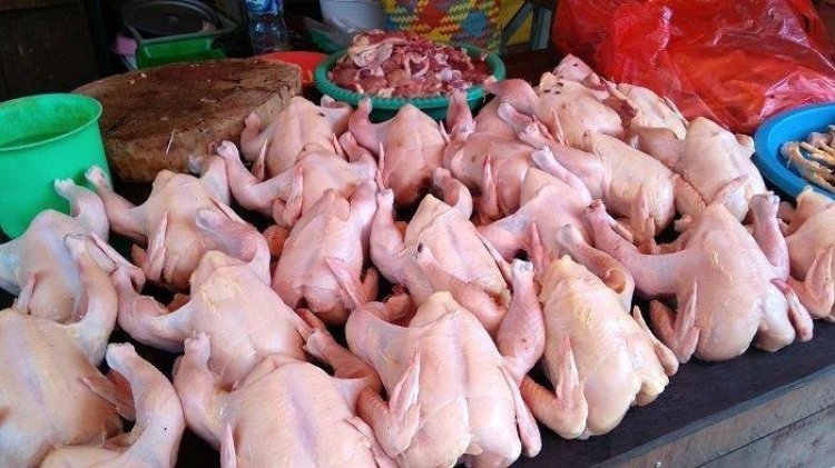 Harga Pangan Kompak Naik Menjelang Bulan Puasa, Daging Ayam Tembus Rp34 Ribu per Kg