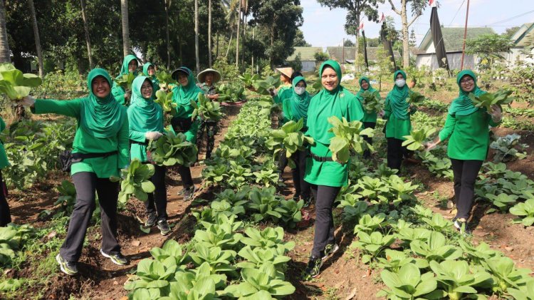 Manfaatkan Sludge Pabrik Indolakto, Lahan Tidur Yon Armed Jadi Kebun Sayur