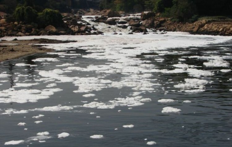 Waduh! Diduga Tercemar Limbah B3, Ribuan Ikan di Sungai Cileungsi Mati
