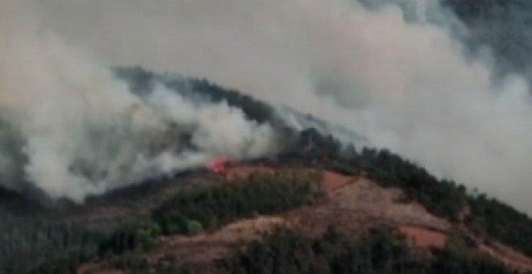 Kebakaran Hutan Terjadi di Xichang, Sichuan