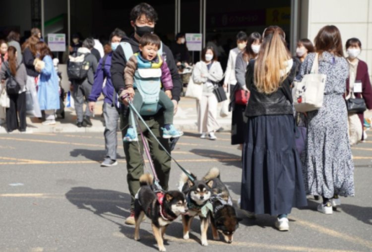 Waduh! Populasi Orang di Jepang Bakalan Runtuh