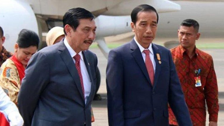 Jokowi Tunjuk Luhut Jadi Ketua Satgas Sawit!