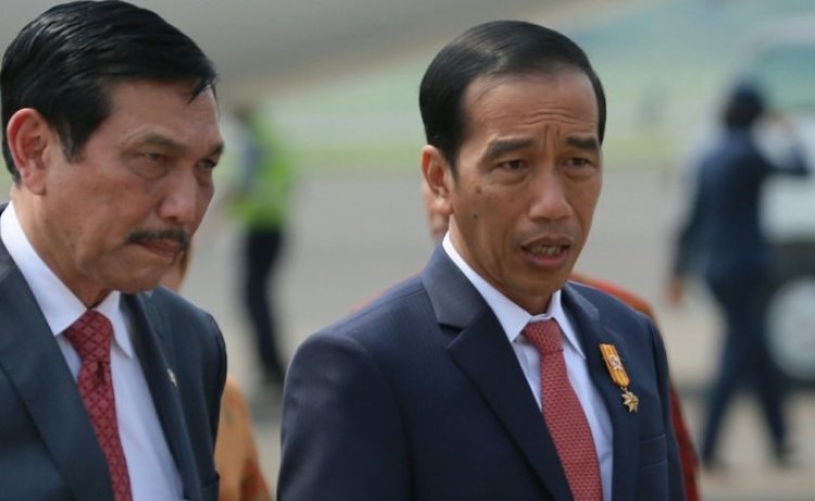 Jokowi Tunjuk Luhut Menjadi Ketua Pengarah Satgas Tata Kelola Sawit