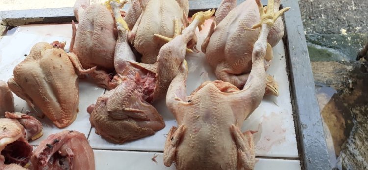 Harga Daging Ayam Naik Jelang Lebaran 2023