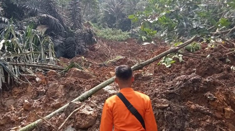 Kawasan Desa Buanajaya Diterjang Tanah Longsor Imbas Hujan Deras, 342 Jiwa Mengungsi
