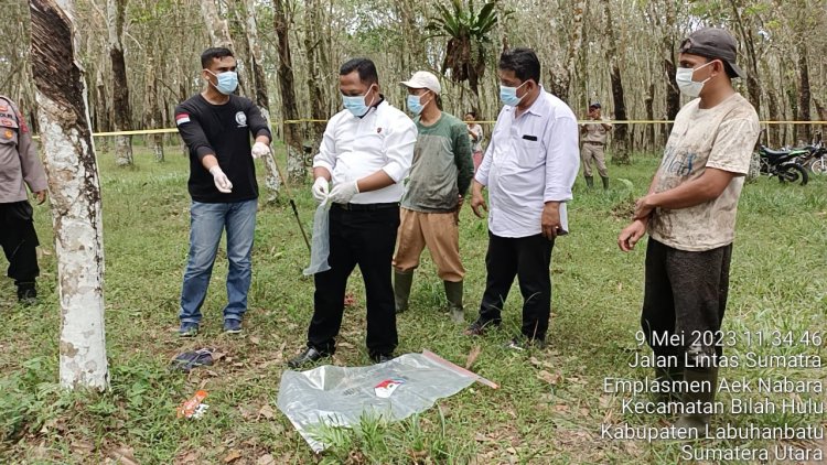 Diduga Dibuang, Jasad Janin Ditemukan Penderes Perkebunan PTPN III Kanau