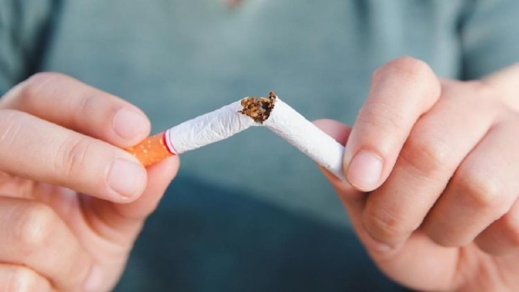 Duh! Studi Baru Ungkap Kebiasaan Rokok Setiap Hari Dapat Sebabkan Otak Menyusut