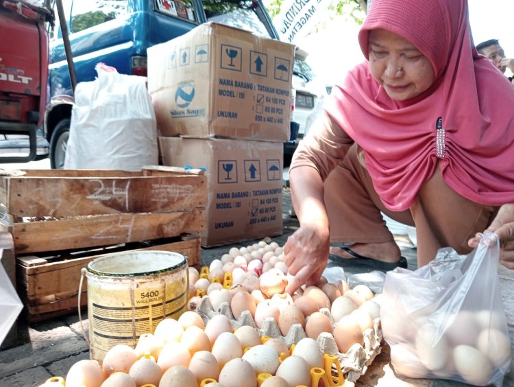 Harga Telur Ayam di Kabupaten Ngawi Tembus Rp32 Ribu, Daging Ayam Rp36 Ribu Perkilo