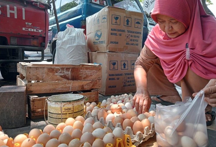 Harga Telur di Kabupaten Magetan Tembus Rp32 Ribu, Daging Ayam Rp35 Ribu Perkilo
