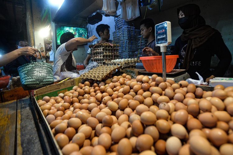 Harga Pangan Masih Tinggi Sejak Pekan Lalu, Telur Ayam Kini Mencapai Rp31 Ribu per Kg