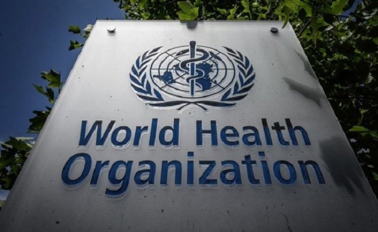 Waspada! WHO Ingatkan Penyakit yang Berisiko Jadi Pandemi Baru
