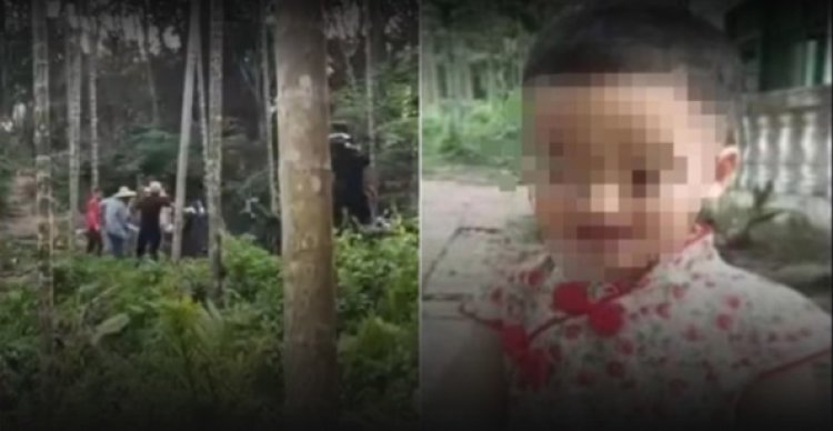 Hilang 2 Hari, Anak Usia 1,5 Tahun di Wanning Hainan Ditemukan Selamat di Kandang Babi