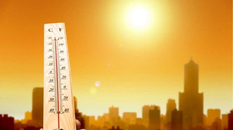 Siswa di Pakistan Tewas Kena Heatstroke Saat Ujian, Ini Fakta dan Gejalanya!