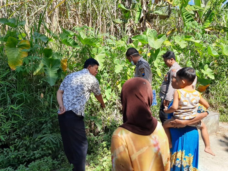 Ditemukan di Selokan dan Dikerubungi Semut, Bayi Laki-Laki Hebohkan Warga Kabupaten Malang