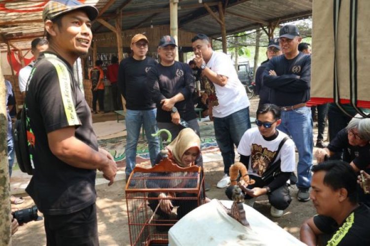 Bupati Mojokerto Gulirkan Lomba Burung Kicau yang Sempat Vakum 11 Tahun